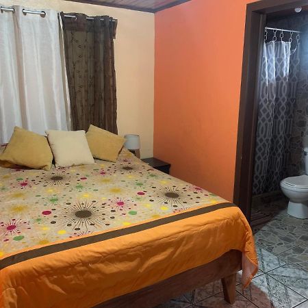 Monteverde Monkey Hostel Zewnętrze zdjęcie