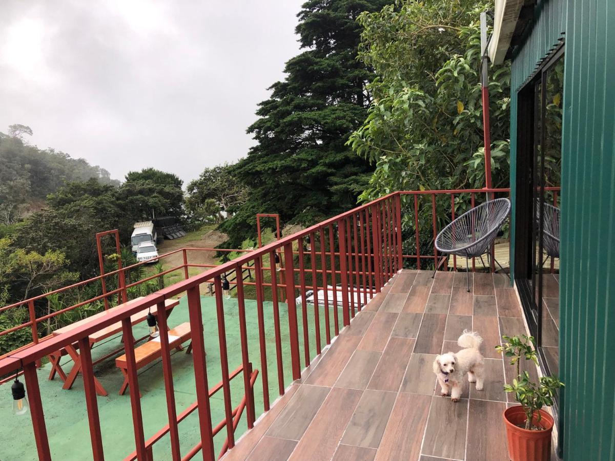 Monteverde Monkey Hostel Zewnętrze zdjęcie