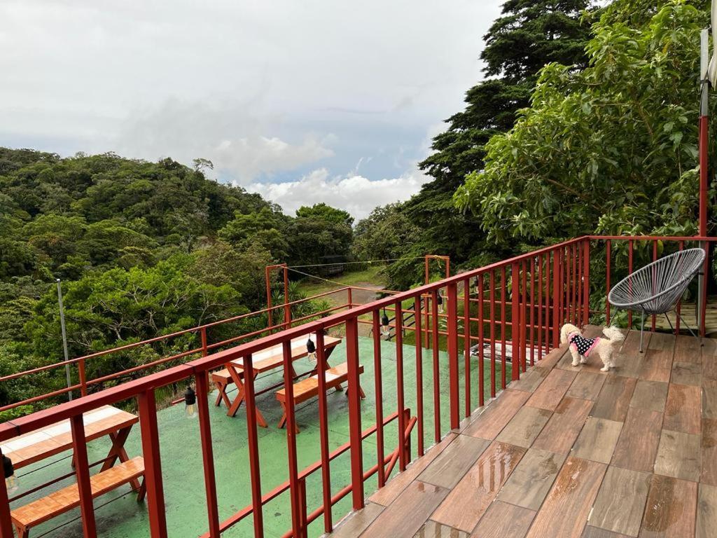 Monteverde Monkey Hostel Zewnętrze zdjęcie
