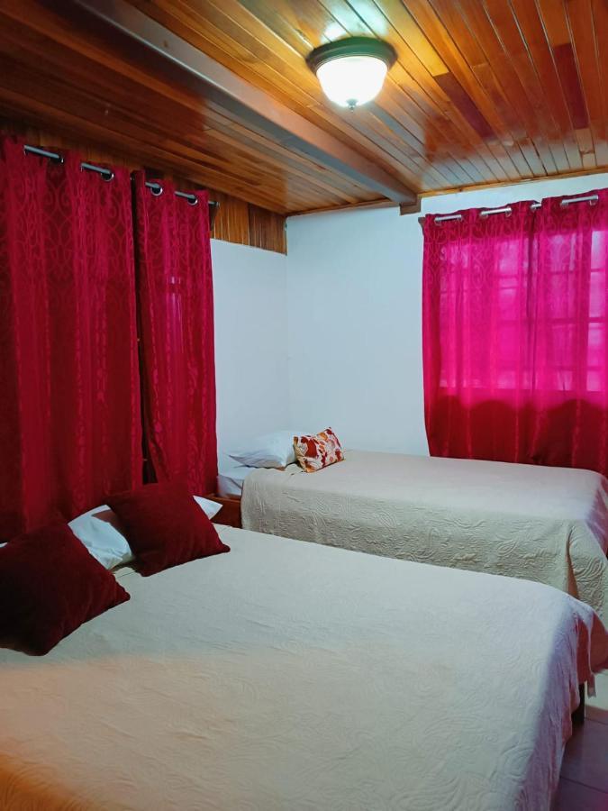 Monteverde Monkey Hostel Zewnętrze zdjęcie