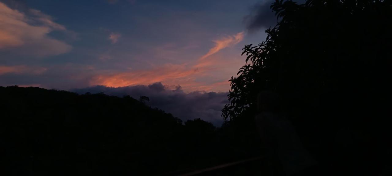 Monteverde Monkey Hostel Zewnętrze zdjęcie